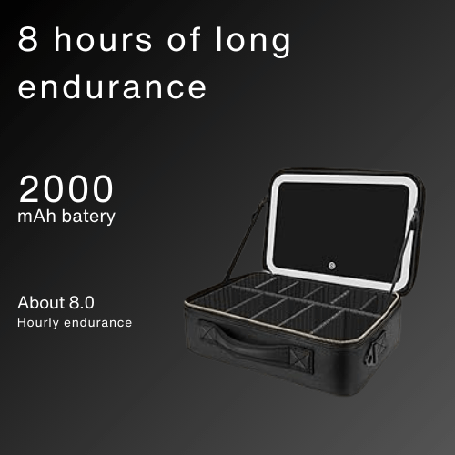 LED Mirror Professional Makeup Bag