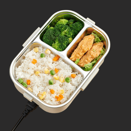 Electric Thermostatic Lunchbox